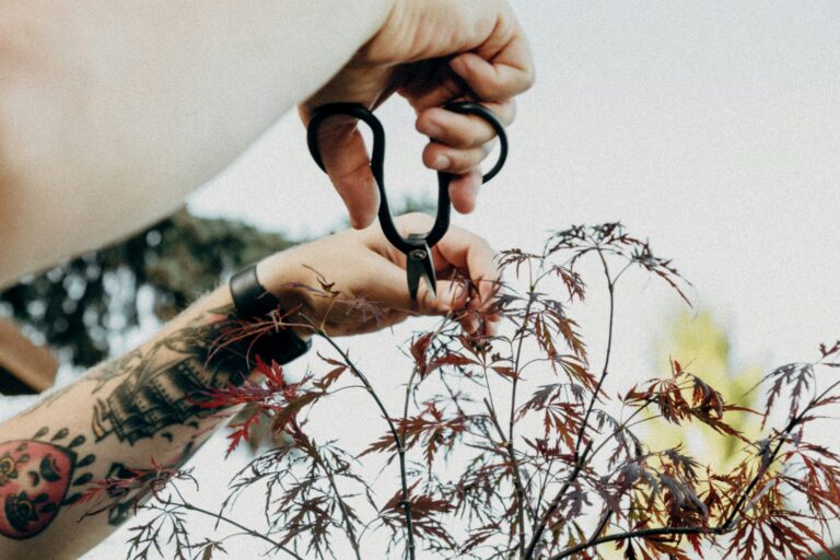 Content Pruning for SaaS: A Framework for Fixing Index Bloat from Programmatic Pages